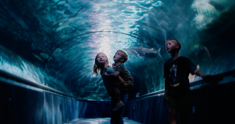 When We Were Your Age_ Still 2